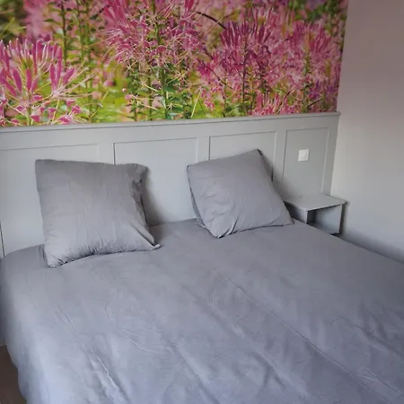 Vendégház D Hotes Salicorne Et Domaine Des Allees 3*